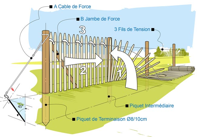 installation facile des ganivelles chataignier