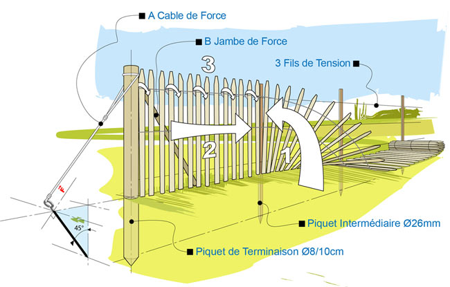 installation et fixation des ganivelles