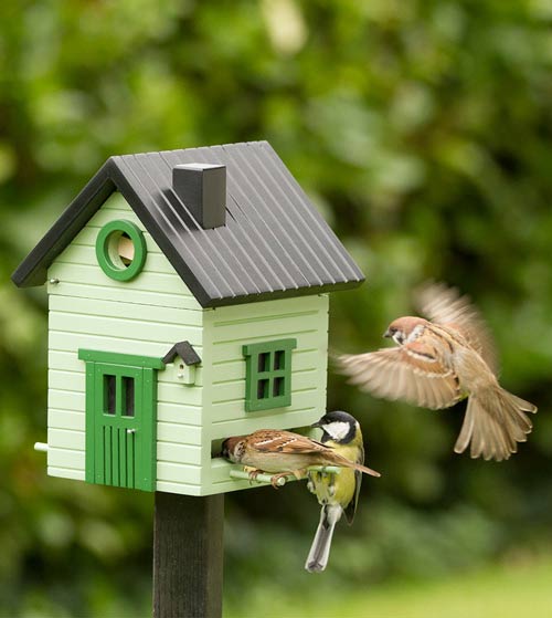 maison à oiseaux en bois