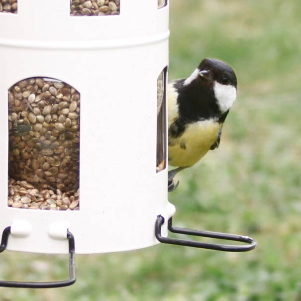 mangeoire blanche, distributeur de graines aux oiseau du jardin