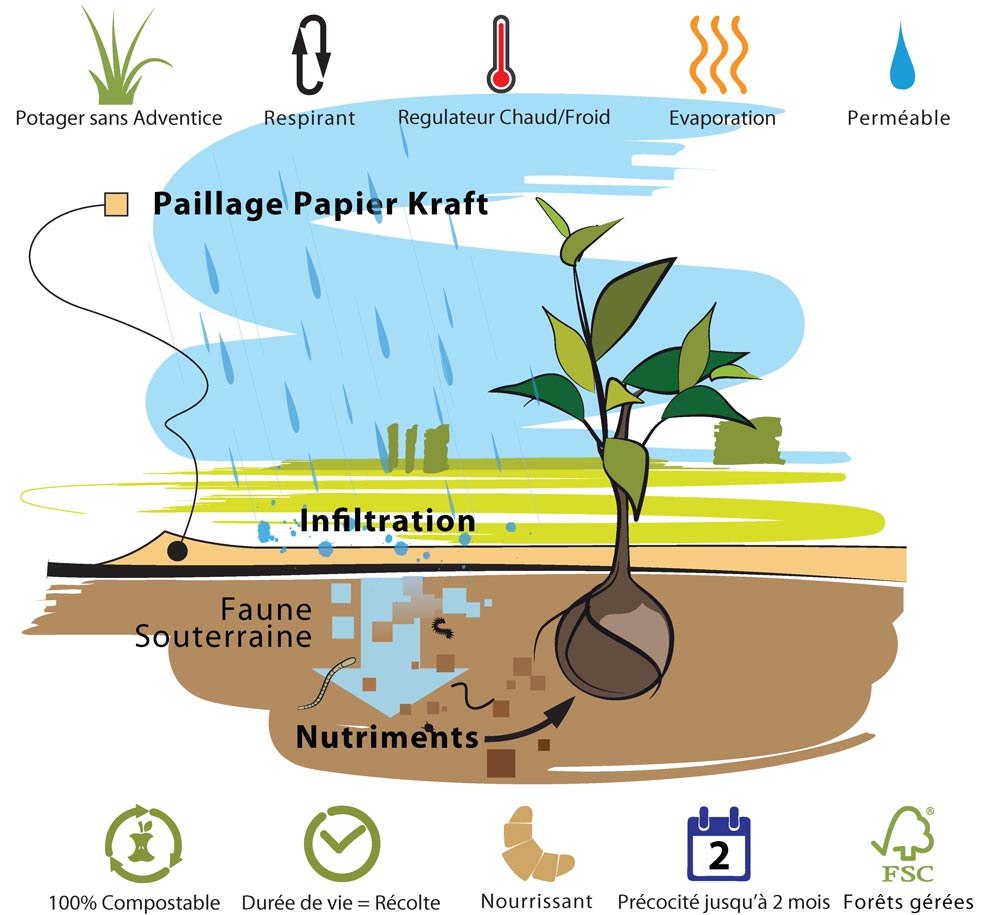 paillage papier biodégradable en rouleau