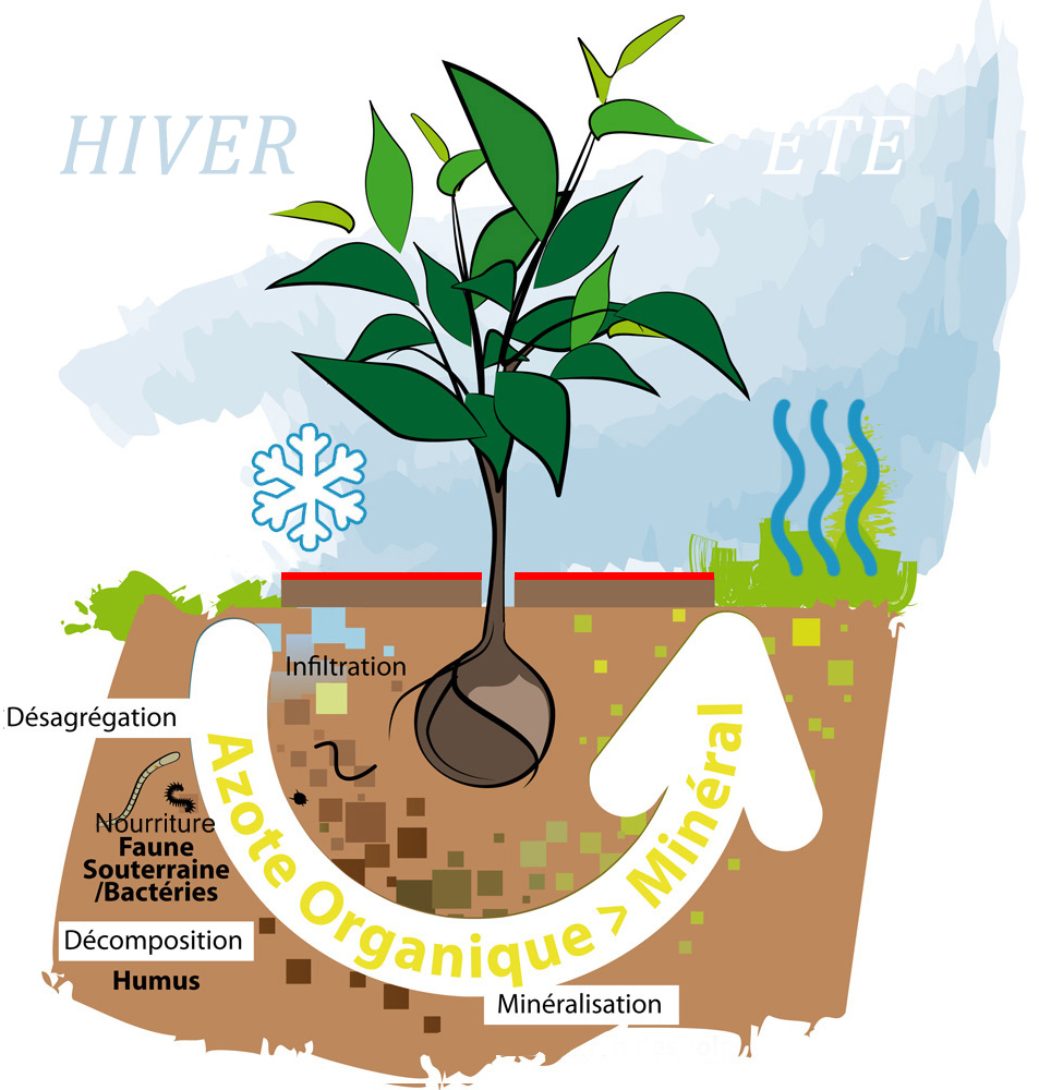 Toile de paillage coco rond 20cm - Protège les plantes (été, hiver)