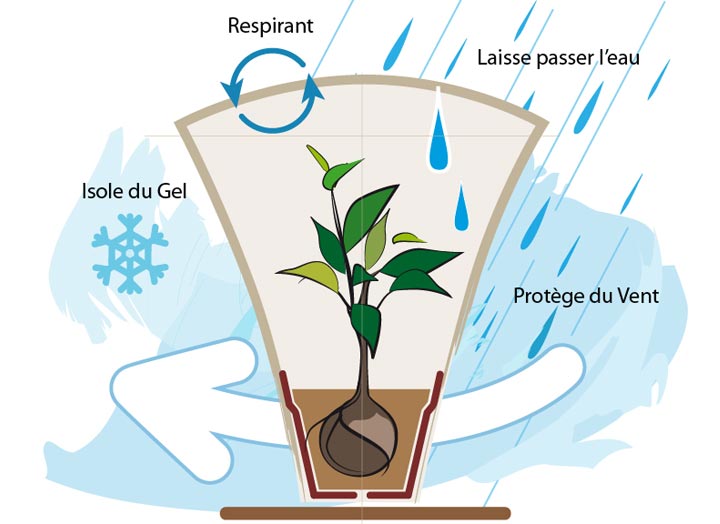 Jardin : voile d'hivernage, paillagecomment bien protéger du