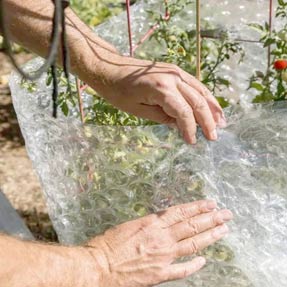Film d'hivernage à bulles pour protéger les plantes contre le froid