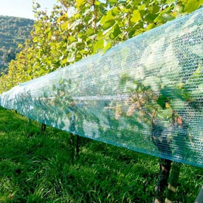 Film papier bulle isolation serre de jardin, vente au meilleur prix