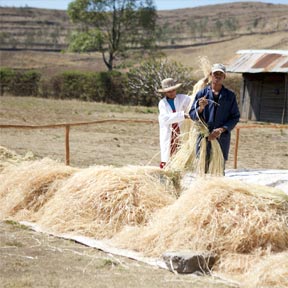 ficelle agricole très résistante à prix mini