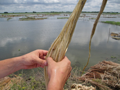 sac contact alimentaire agricole bio