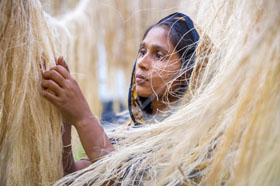 jute pour les ficelles et les toiles